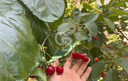 YALOVA ÇİFTLİKKÖY DE SATILIK MÜSTAKİL BAHÇELİ VİLLA!. 4+1