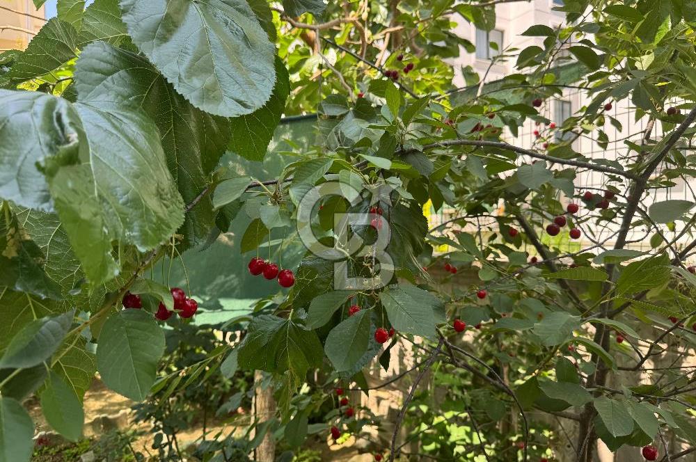 YALOVA ÇİFTLİKKÖY DE SATILIK MÜSTAKİL BAHÇELİ VİLLA!. 4+1