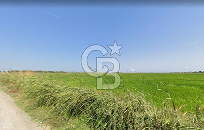 Biga Bozlar Satılık Arsa 15/30 imarlı 445 m2