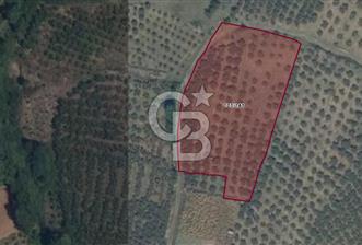 SATILIK PANORAMİK DOĞA VE DENİZ MANZARALI ARAZİ