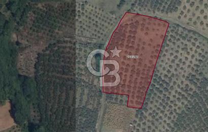 SATILIK PANORAMİK DOĞA VE DENİZ MANZARALI ARAZİ