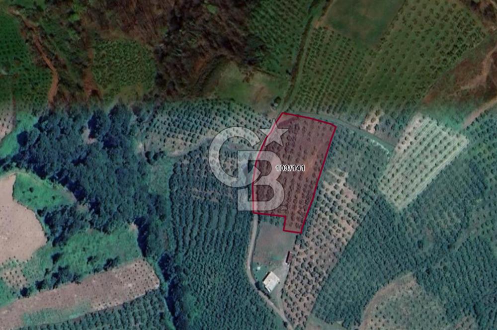 SATILIK PANORAMİK DOĞA VE DENİZ MANZARALI ARAZİ