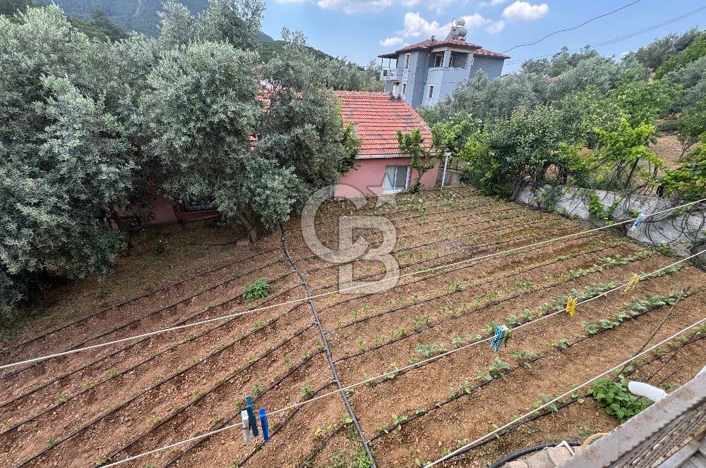 MUSELAND - DOĞANIN MERKEZİNDE 4000m2 İÇİNDE HAVUZLU 2 ADET EV