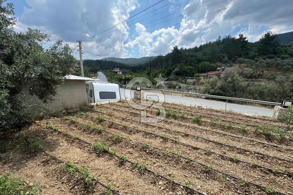 MUSELAND - DOĞANIN MERKEZİNDE 4000m2 İÇİNDE HAVUZLU 2 ADET EV