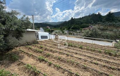 MUSELAND - DOĞANIN MERKEZİNDE 4000m2 İÇİNDE HAVUZLU 2 ADET EV