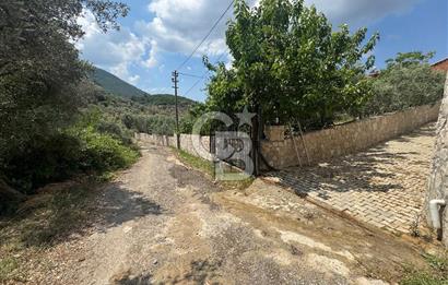 MUSELAND - DOĞANIN MERKEZİNDE 4000m2 İÇİNDE HAVUZLU 2 ADET EV