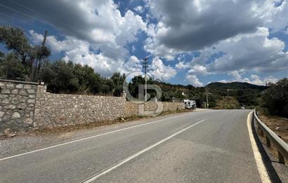 MUSELAND - DOĞANIN MERKEZİNDE 4000m2 İÇİNDE HAVUZLU 2 ADET EV