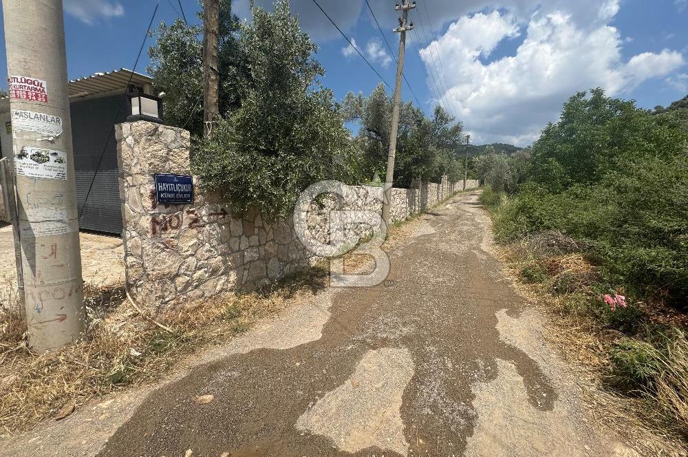 MUSELAND - DOĞANIN MERKEZİNDE 4000m2 İÇİNDE HAVUZLU 2 ADET EV