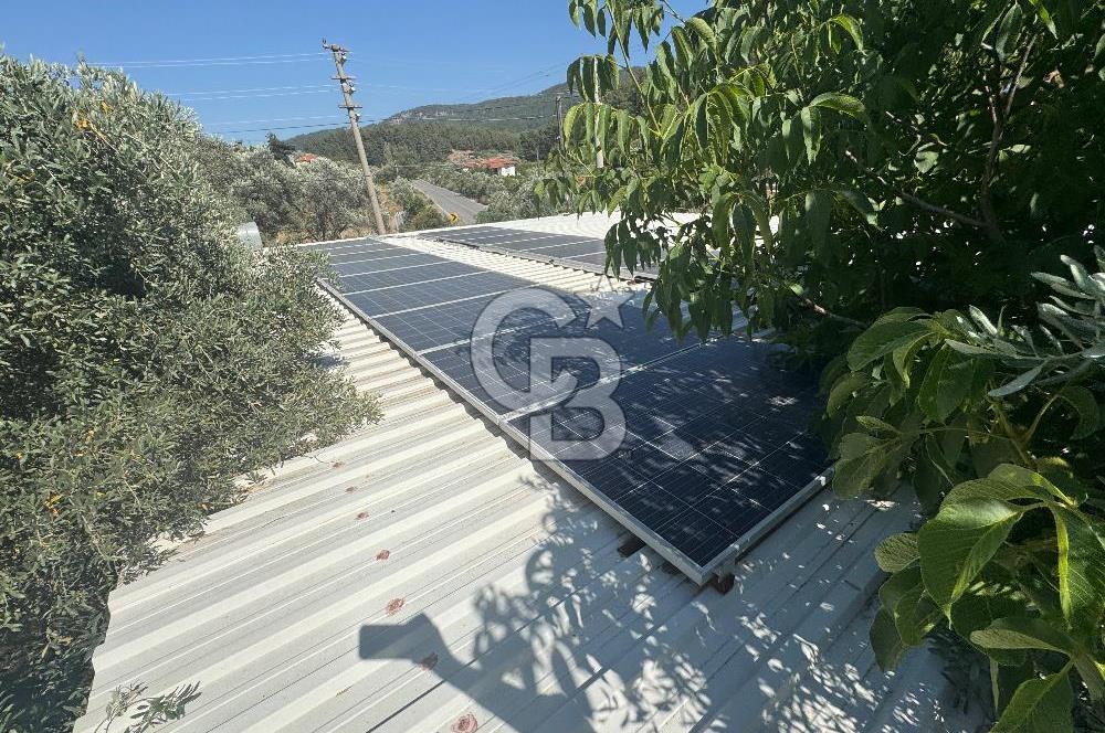 MUSELAND - DOĞANIN MERKEZİNDE 4000m2 İÇİNDE HAVUZLU 2 ADET EV