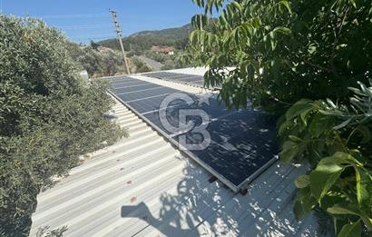 MUSELAND - DOĞANIN MERKEZİNDE 4000m2 İÇİNDE HAVUZLU 2 ADET EV
