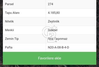 Muğla Yatağan Yava Mh Satılık Zeytinlik