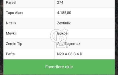 Muğla Yatağan Yava Mh Satılık Zeytinlik