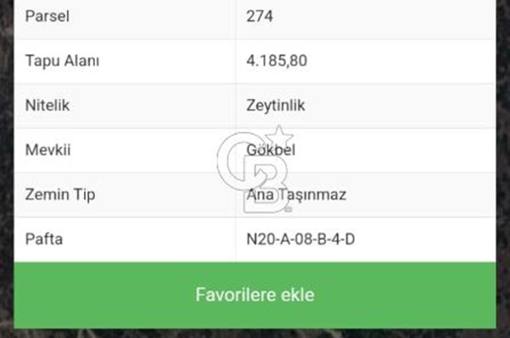 Muğla Yatağan Yava Mh Satılık Zeytinlik