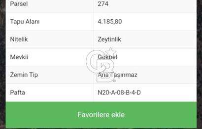 Muğla Yatağan Yava Mh Satılık Zeytinlik