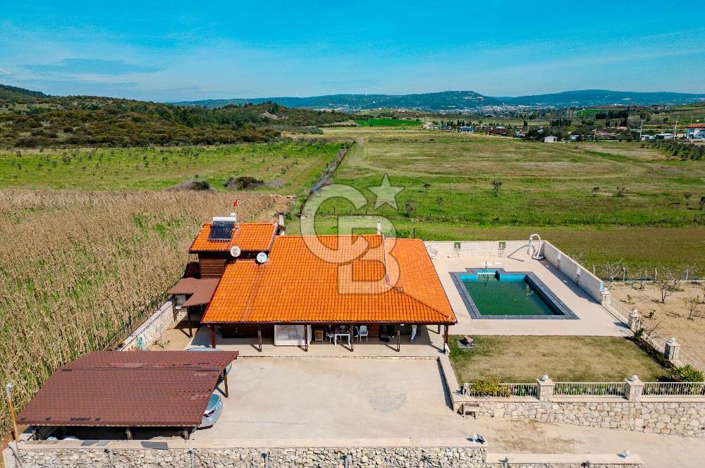 Seferihisar Düzce'de 7 Dönüm İçerisinde Satılık Çiftlik
