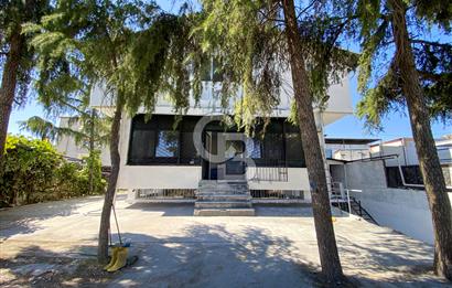 FARKLI İŞ KOLLARINA UYGUN, 3 KAT, MÜSTAKİL BİNA , 900 M2 KAPALI ALAN, 