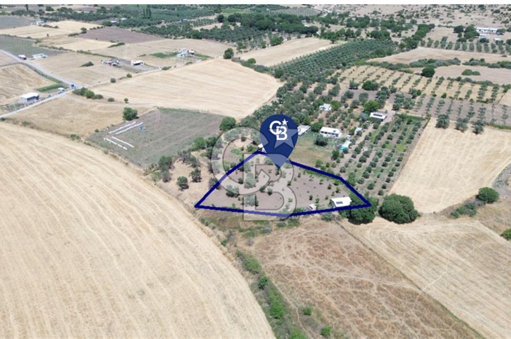 Çıtak'ta Ruhsatlı 48 m2 1+1 Konutu Olan 2.740 m2 Satılık Tarla