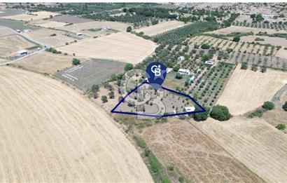 Çıtak'ta Ruhsatlı 48 m2 1+1 Konutu Olan 2.740 m2 Satılık Tarla