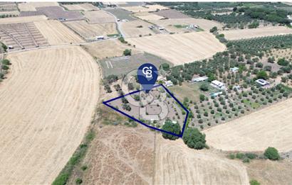 Çıtak'ta Ruhsatlı 48 m2 1+1 Konutu Olan 2.740 m2 Satılık Tarla