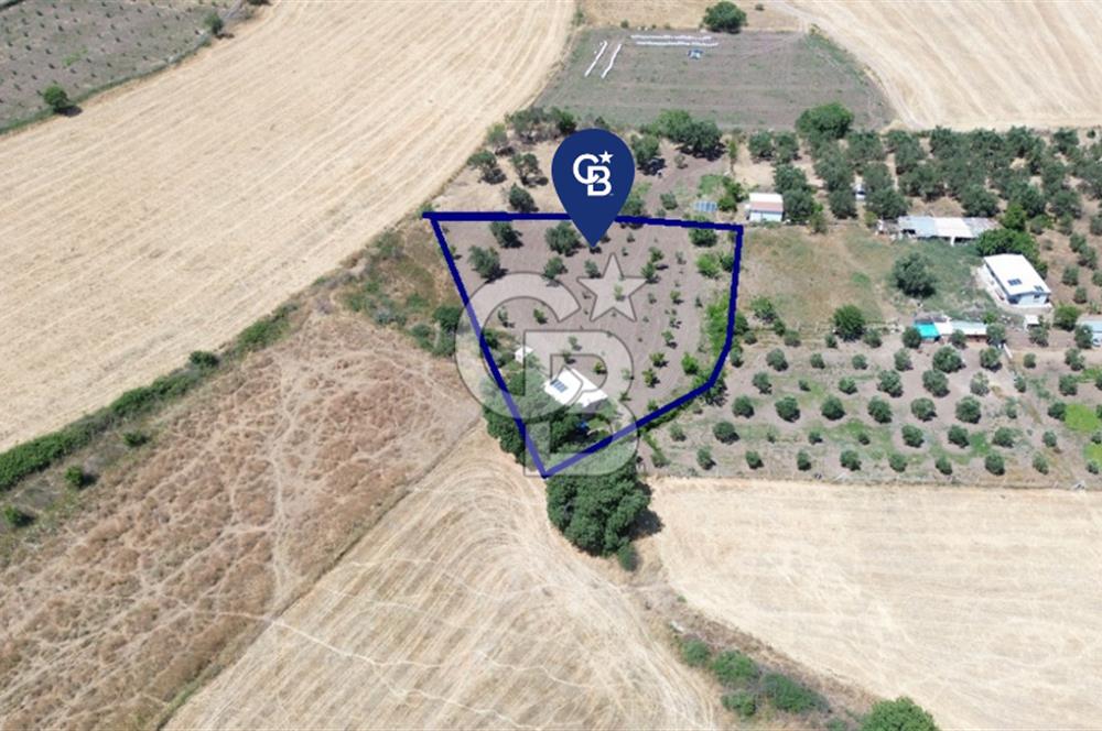 Çıtak'ta Ruhsatlı 48 m2 1+1 Konutu Olan 2.740 m2 Satılık Tarla