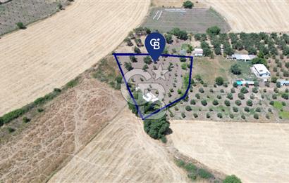 Çıtak'ta Ruhsatlı 48 m2 1+1 Konutu Olan 2.740 m2 Satılık Tarla