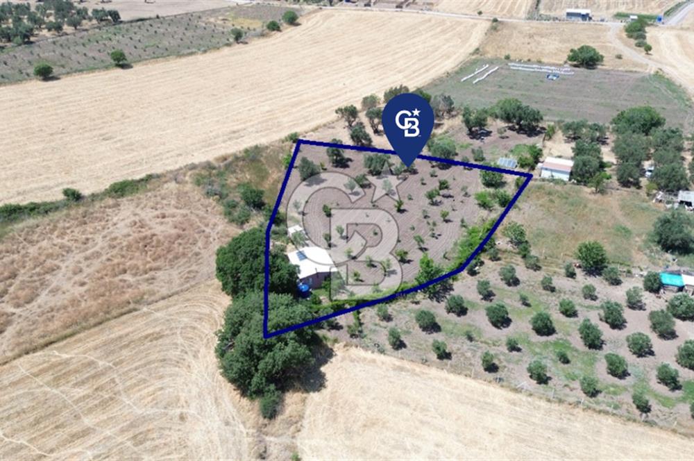 Çıtak'ta Ruhsatlı 48 m2 1+1 Konutu Olan 2.740 m2 Satılık Tarla