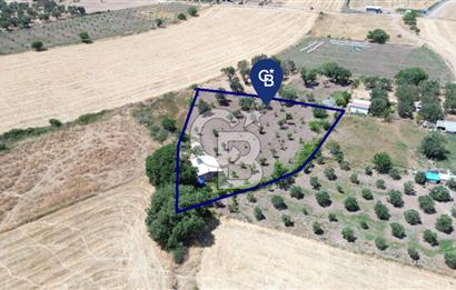Çıtak'ta Ruhsatlı 48 m2 1+1 Konutu Olan 2.740 m2 Satılık Tarla