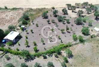 Çıtak'ta Ruhsatlı 48 m2 1+1 Konutu Olan 2.740 m2 Satılık Tarla