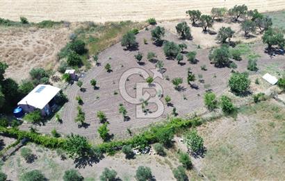 Çıtak'ta Ruhsatlı 48 m2 1+1 Konutu Olan 2.740 m2 Satılık Tarla