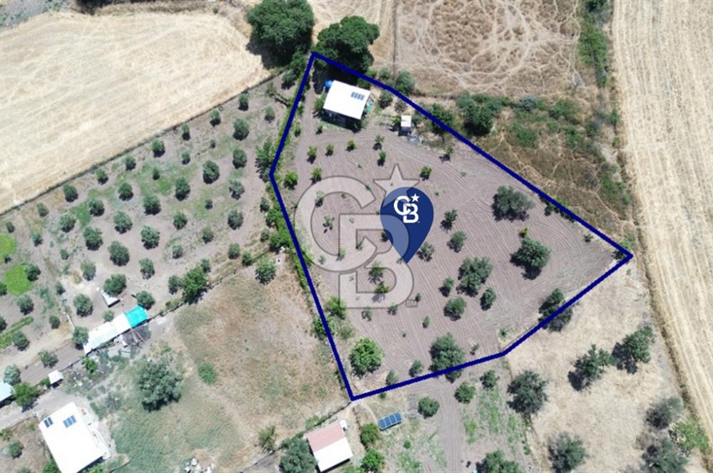 Çıtak'ta Ruhsatlı 48 m2 1+1 Konutu Olan 2.740 m2 Satılık Tarla