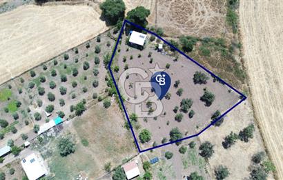 Çıtak'ta Ruhsatlı 48 m2 1+1 Konutu Olan 2.740 m2 Satılık Tarla