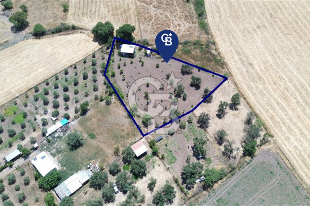 Çıtak'ta Ruhsatlı 48 m2 1+1 Konutu Olan 2.740 m2 Satılık Tarla