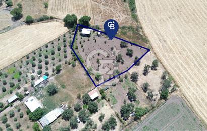 Çıtak'ta Ruhsatlı 48 m2 1+1 Konutu Olan 2.740 m2 Satılık Tarla