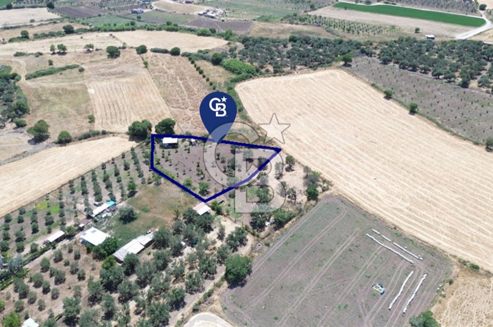 Çıtak'ta Ruhsatlı 48 m2 1+1 Konutu Olan 2.740 m2 Satılık Tarla