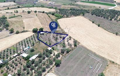 Çıtak'ta Ruhsatlı 48 m2 1+1 Konutu Olan 2.740 m2 Satılık Tarla