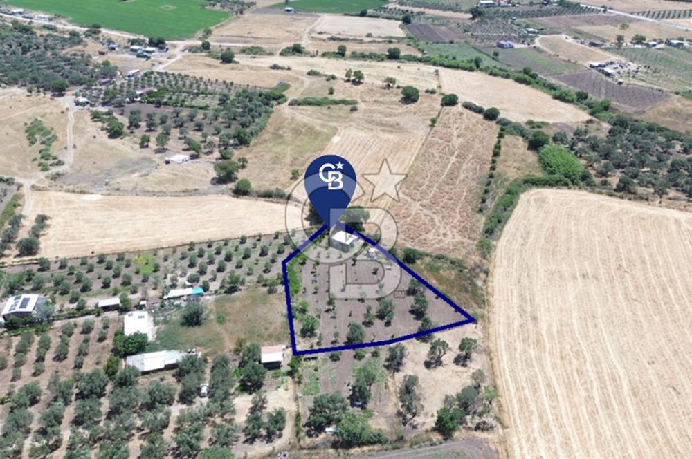 Çıtak'ta Ruhsatlı 48 m2 1+1 Konutu Olan 2.740 m2 Satılık Tarla