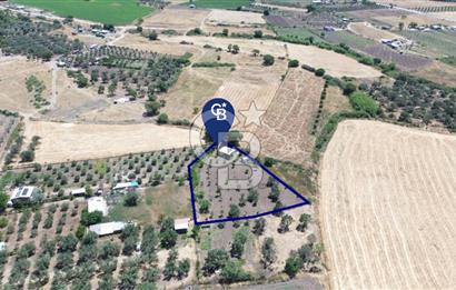 Çıtak'ta Ruhsatlı 48 m2 1+1 Konutu Olan 2.740 m2 Satılık Tarla