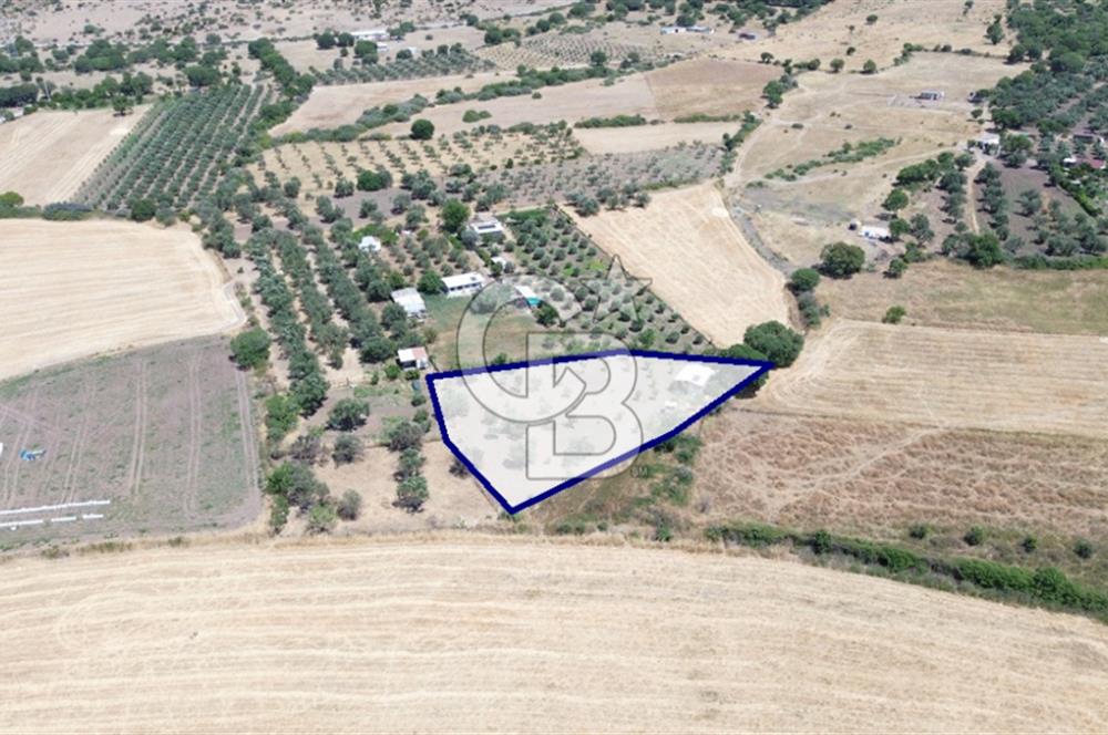 Çıtak'ta Ruhsatlı 48 m2 1+1 Konutu Olan 2.740 m2 Satılık Tarla