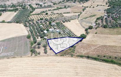 Çıtak'ta Ruhsatlı 48 m2 1+1 Konutu Olan 2.740 m2 Satılık Tarla