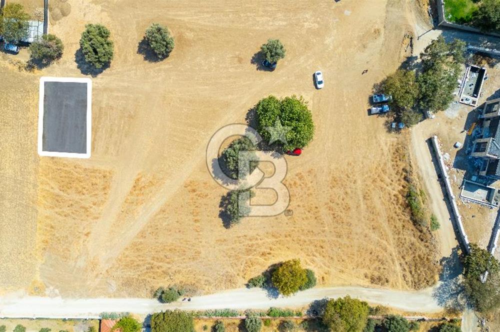 Foça Yeniköy'de Satılık Tarla