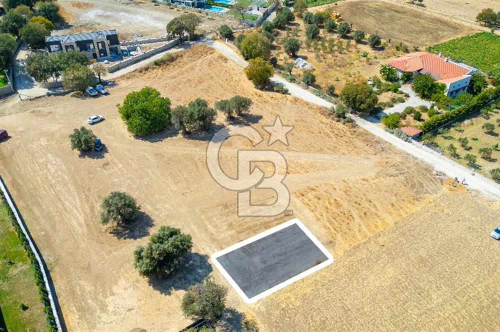 Foça Yeniköy'de Satılık Tarla