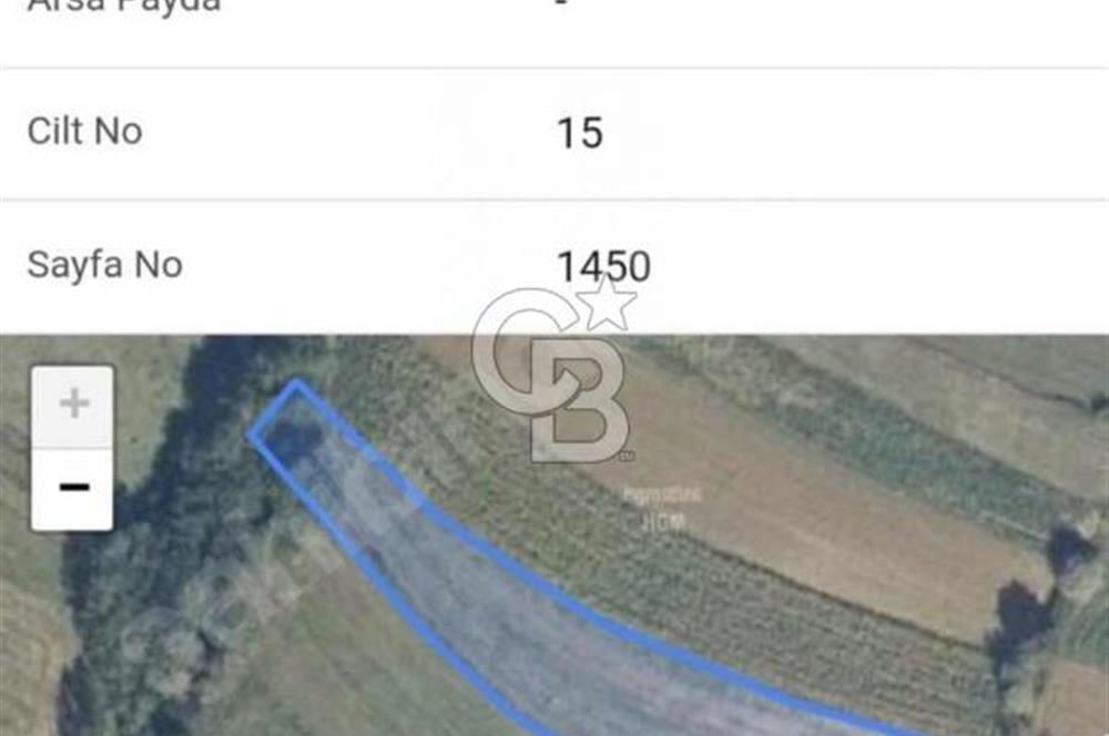 CB Fly'dan Sahillere Çok Yakın Yola Bir Parsel 2761 m² Tarla