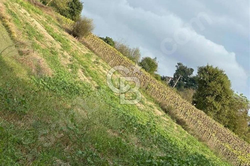CB Fly'dan Sahillere Çok Yakın Yola Bir Parsel 2761 m² Tarla