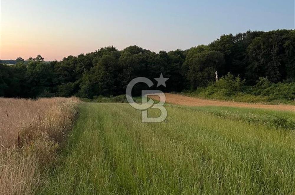 CB Fly'dan Sahillere Çok Yakın Yola Bir Parsel 1522 m² Tarla