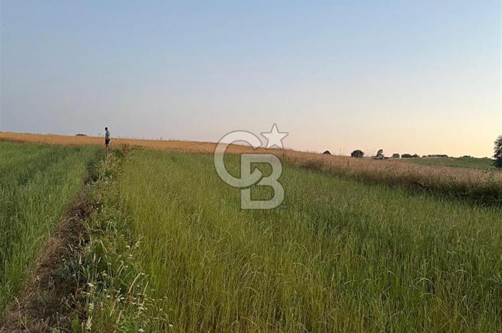 CB Fly'dan Sahillere Çok Yakın Yola Bir Parsel 1522 m² Tarla