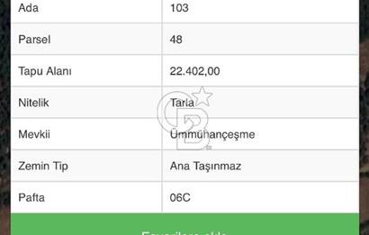 ÇANAKKALE BAYRAMİÇ HACIBEKİRLER KÖYÜ SATILIK TARLA