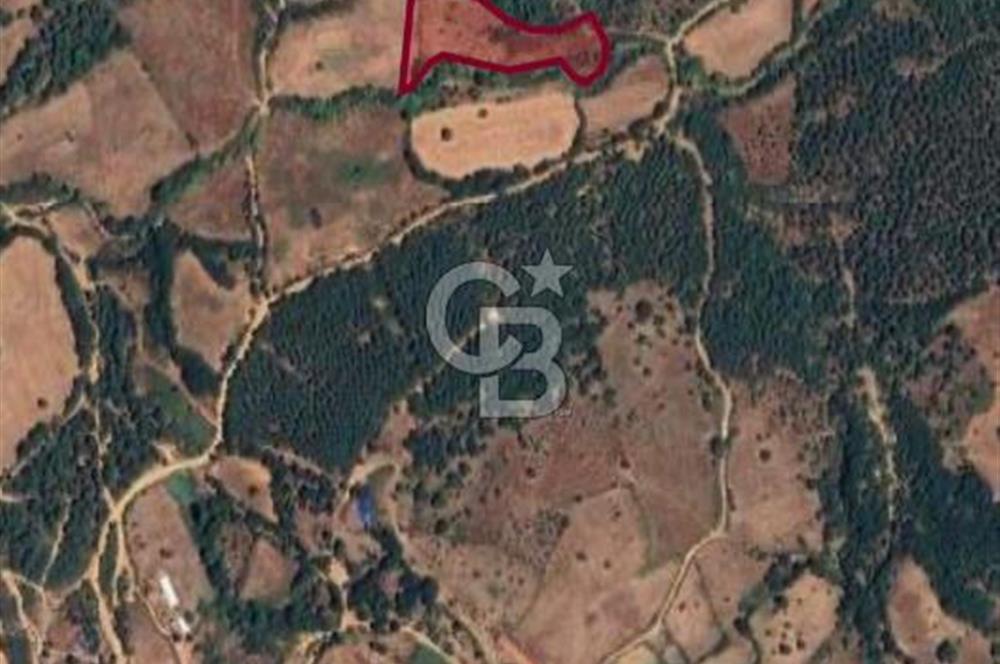 ÇANAKKALE BAYRAMİÇ HACIBEKİRLER KÖYÜ SATILIK TARLA