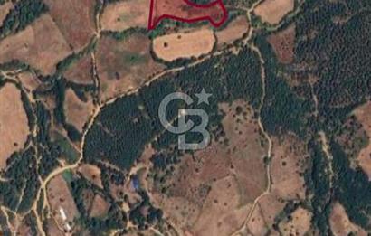 ÇANAKKALE BAYRAMİÇ HACIBEKİRLER KÖYÜ SATILIK TARLA