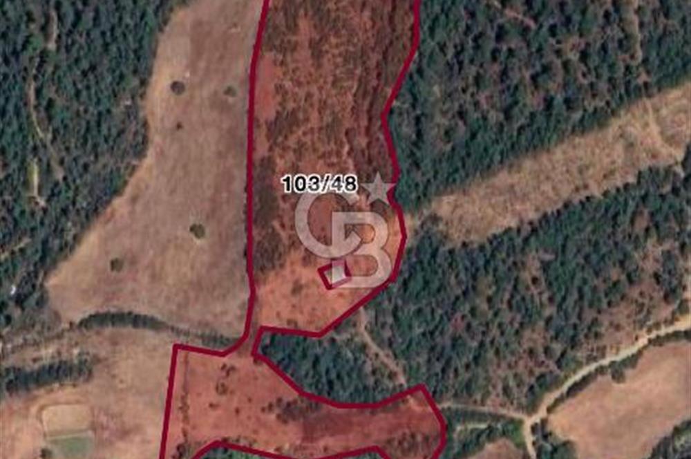 ÇANAKKALE BAYRAMİÇ HACIBEKİRLER KÖYÜ SATILIK TARLA