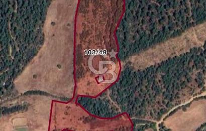 ÇANAKKALE BAYRAMİÇ HACIBEKİRLER KÖYÜ SATILIK TARLA